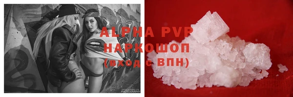 спиды Ладушкин
