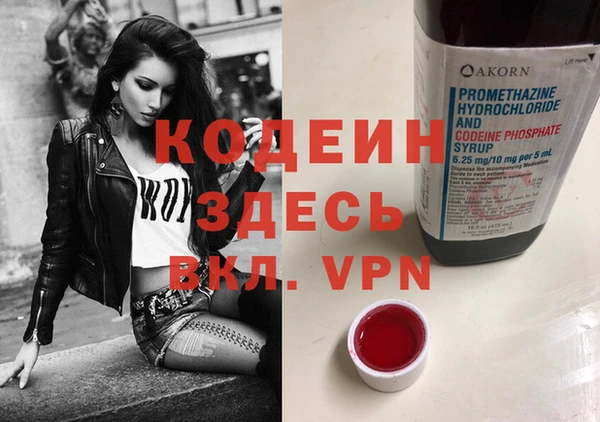 спиды Ладушкин