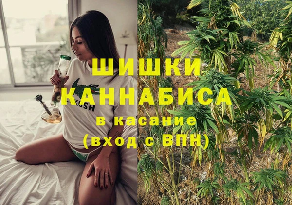 сатива Алагир