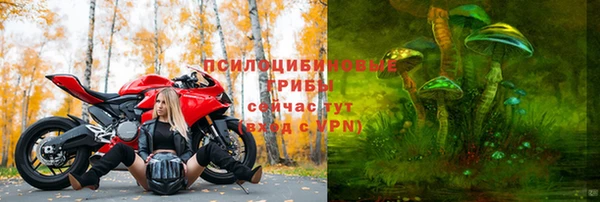 спиды Ладушкин