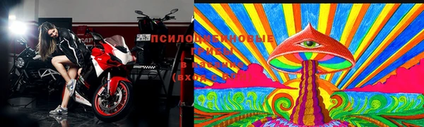 спиды Ладушкин