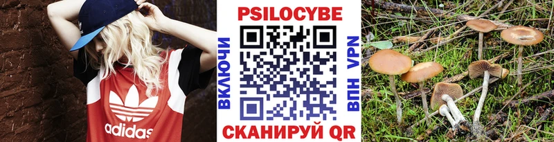 Псилоцибиновые грибы Psilocybe  Сольцы 