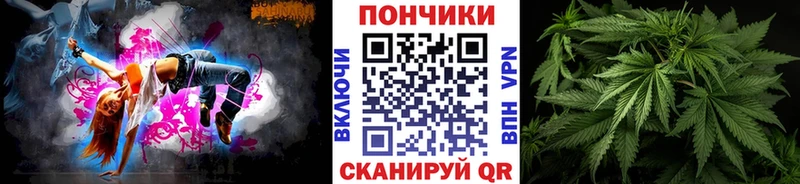 Конопля гибрид  Сольцы 